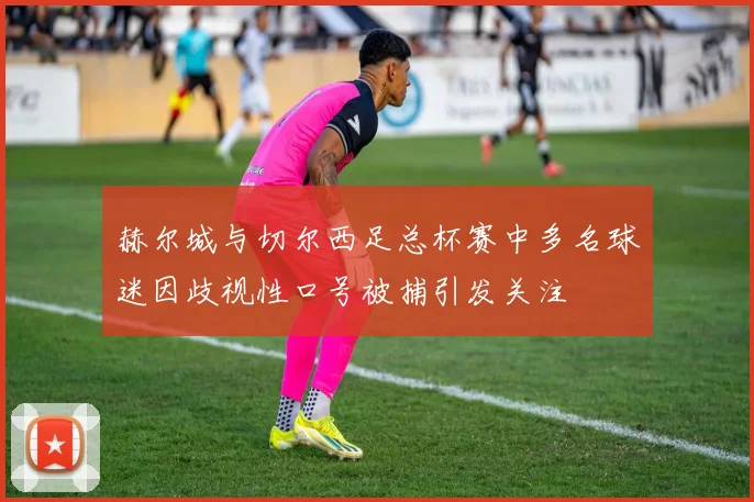 赫尔城与切尔西足总杯赛中多名球迷因歧视性口号被捕引发关注