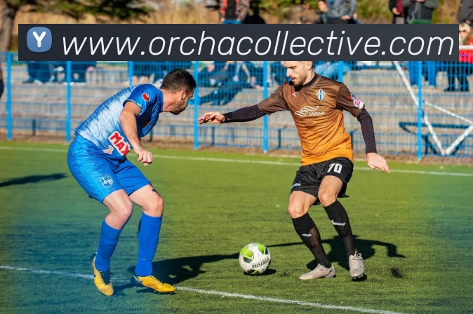 互动解说服务